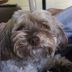 Meet your Posher, Suzanne